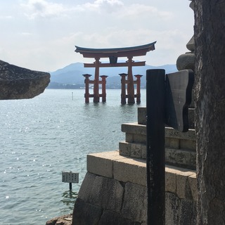 AC5F8D23-7451-425C-89CE-384122F49E27.jpeg